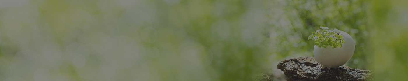 アイキャッチ｜講座｜筑波大学エクステンションプログラム